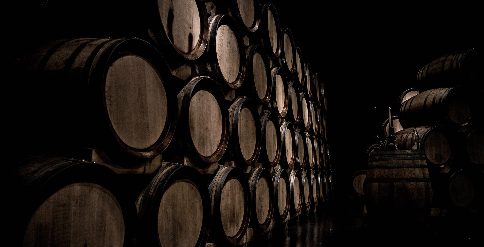 Bodegas Borsao