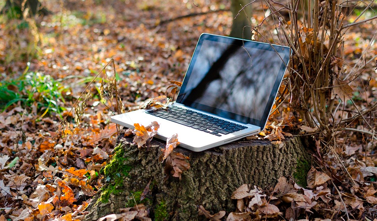 Green data centers: fighting climate pollution from Internet use