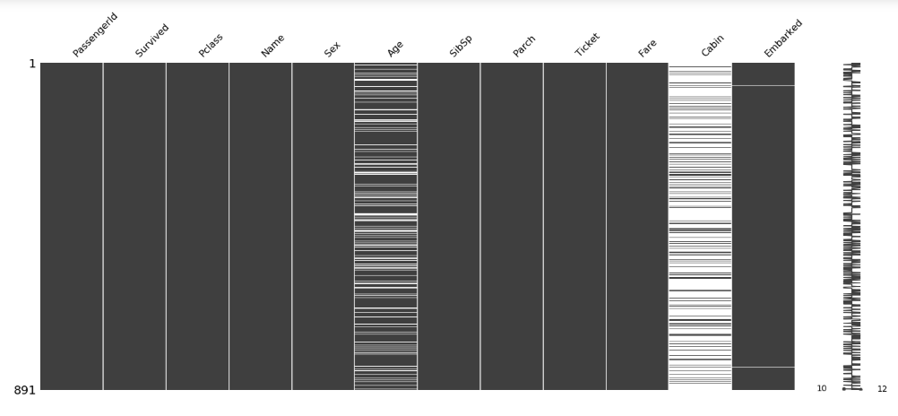 Figura 17: Matriz de nulidad para el dataset del Titanic