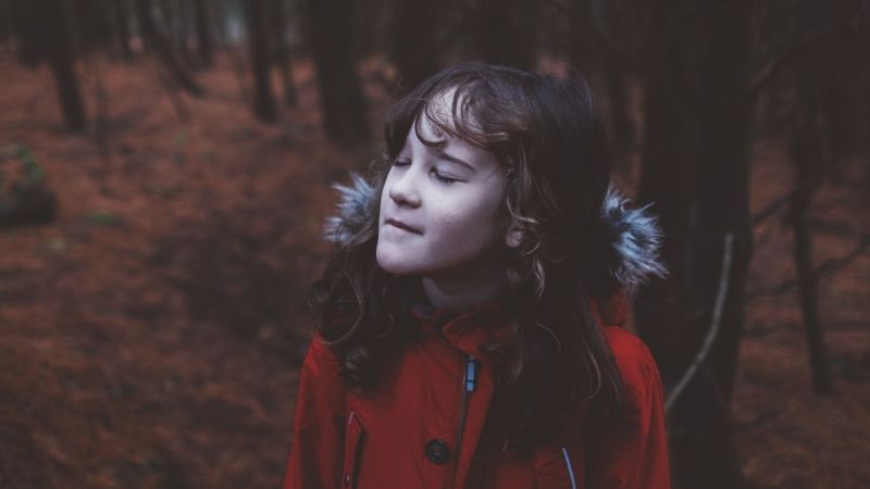 What Little Red Riding Hood teaches us about cyber security