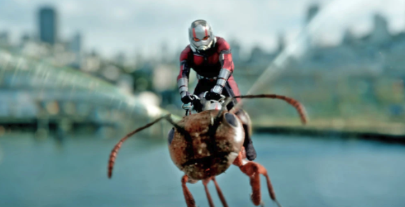 Ant-Man montado sobre una avista. Fuente.