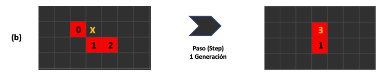 Figura 5. Detalle del segundo autómata y su evolución, donde se genera una nueva celda.