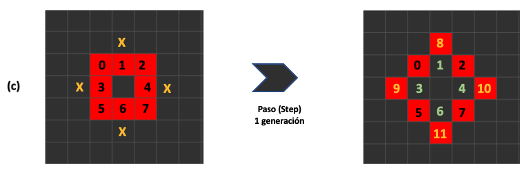 Figura 6. Evolución del autómata donde aparece la cuarta regla, superpoblación.