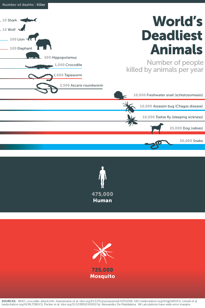 which-animal-kills-the-most-people-every-year-live-science