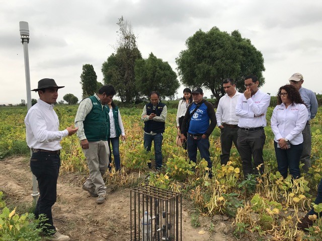 Internet de las Cosas (IoT) aplicado al desarrollo de la agricultura familiar en Perú