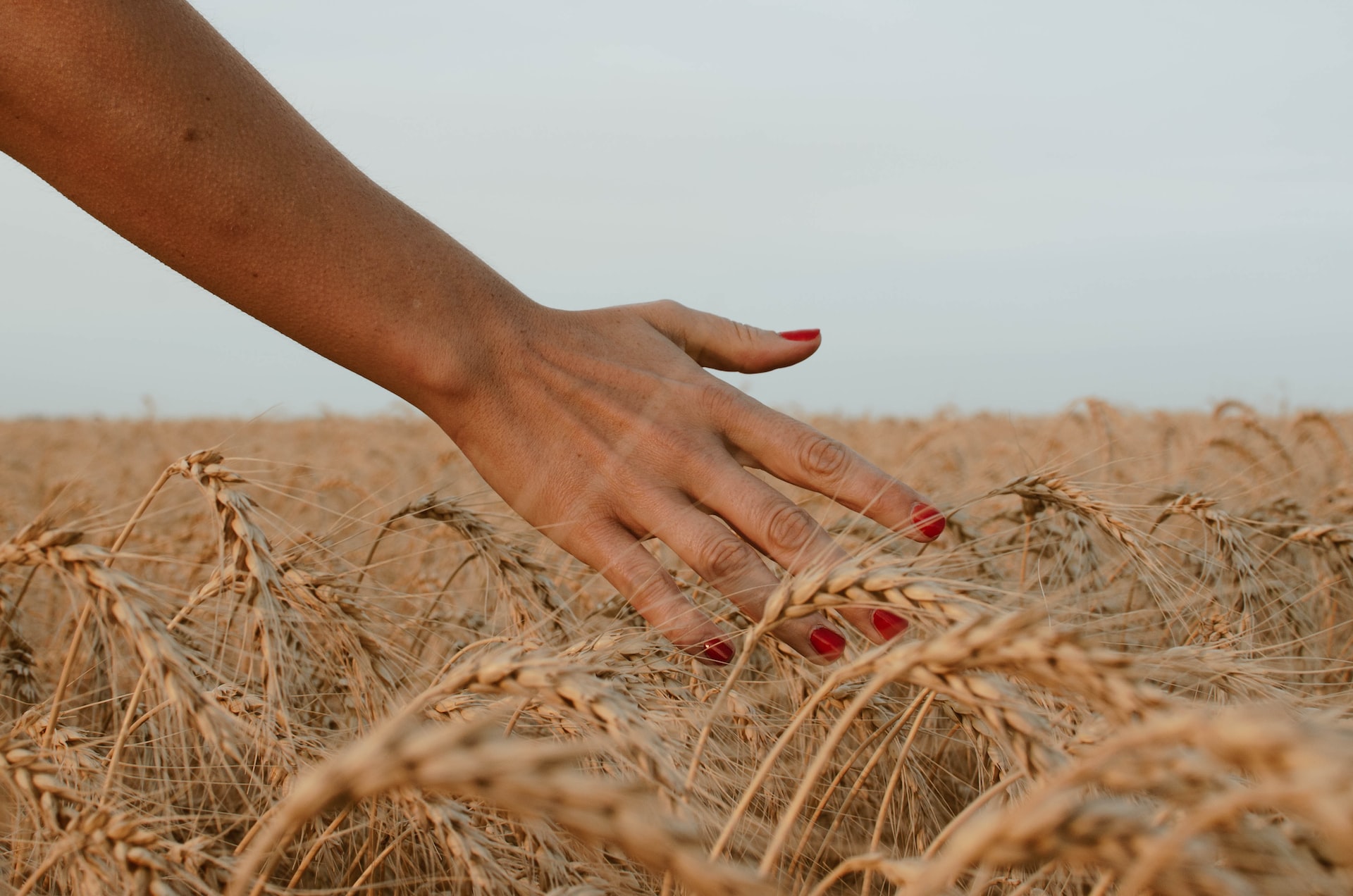 How can we bring Internet of Things to the rural world?