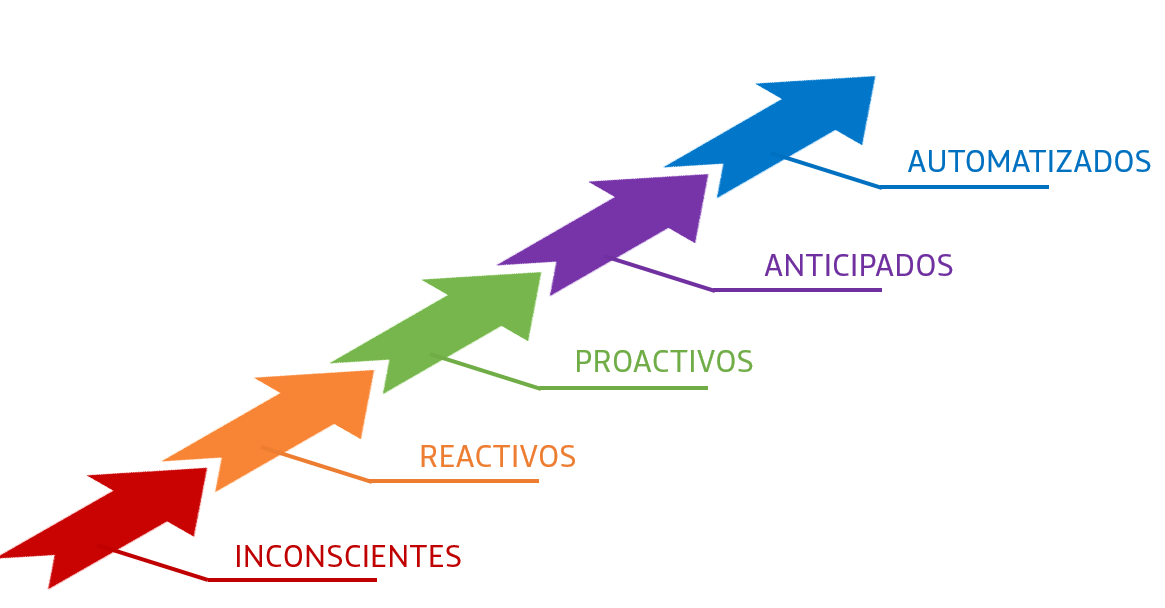 Gráfico: los 5 niveles en la ciberseguridad de una empresa