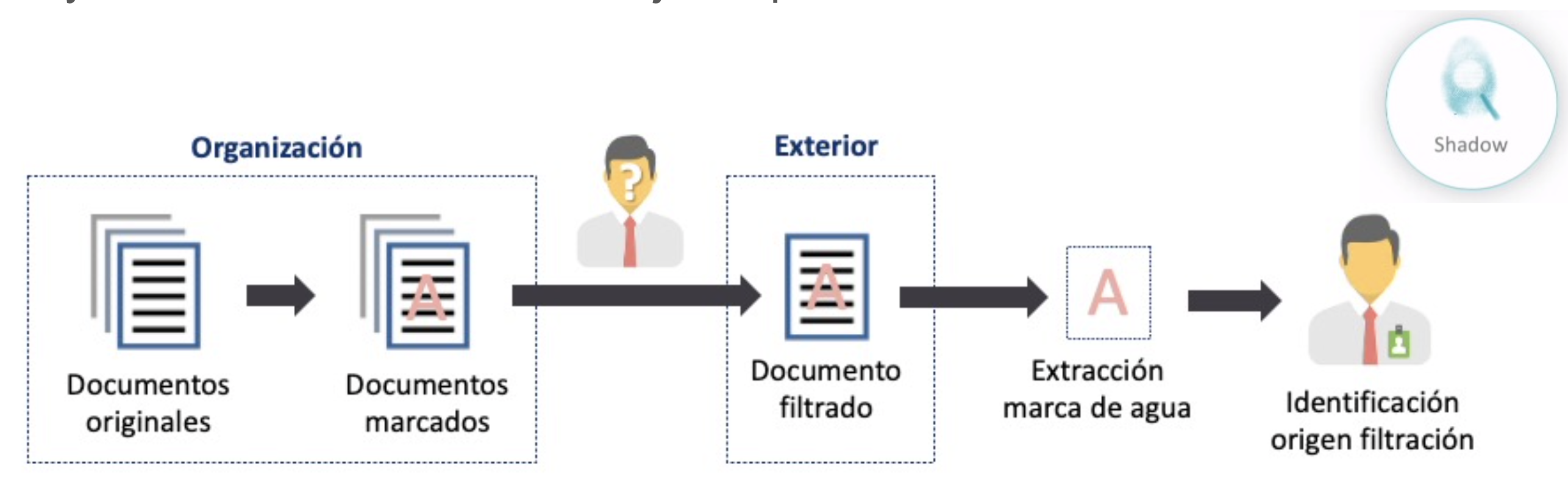 Workflow de la tecnología shadow