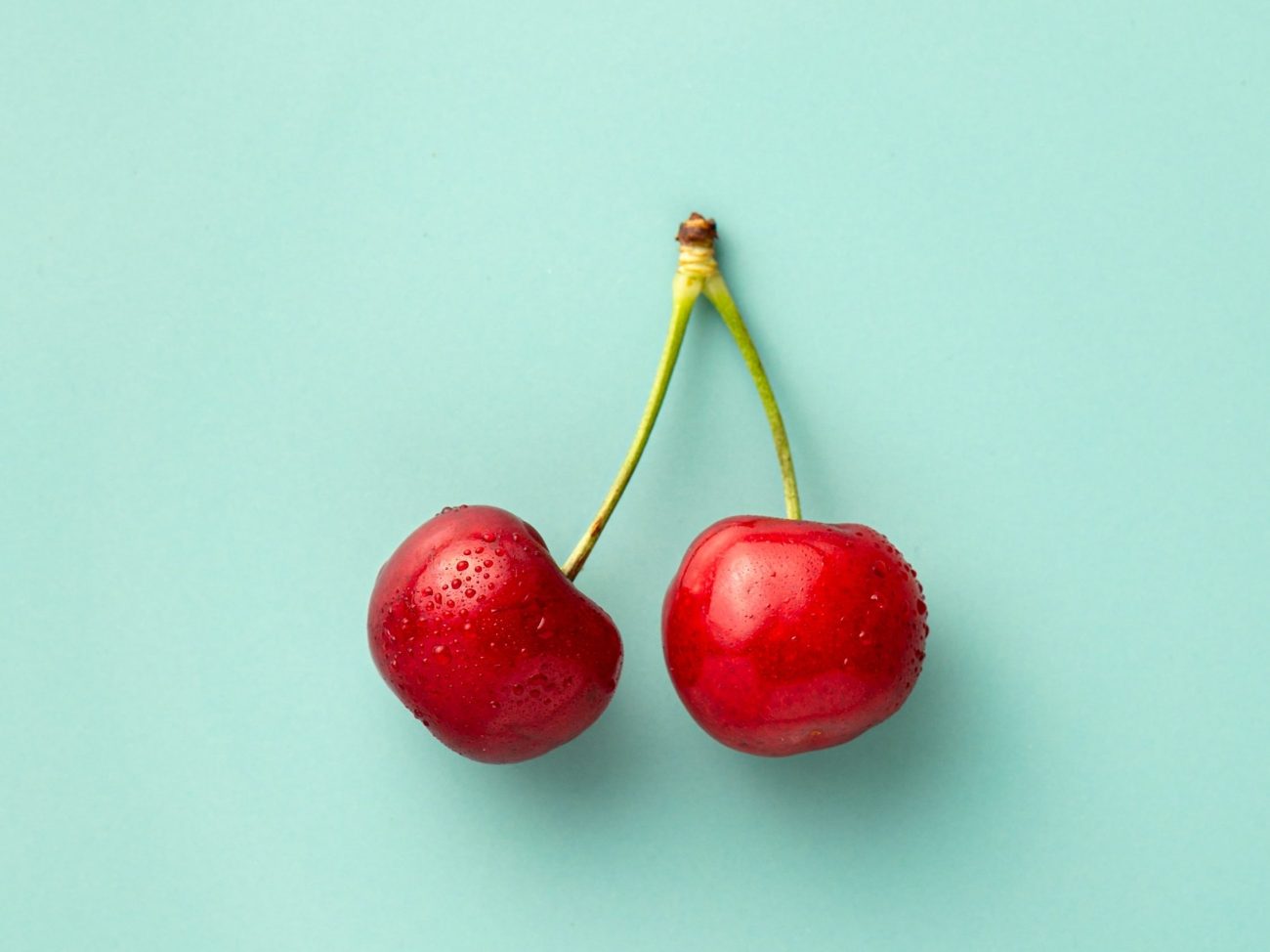 Cómo la digitalización permite conocer y atender con precisión las necesidades de un cultivo ecológico de cerezas
