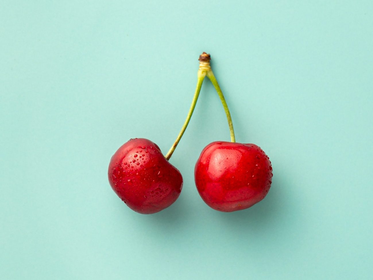 How digitalisation makes it possible to accurately identify and meet the needs of an organic cherry farm