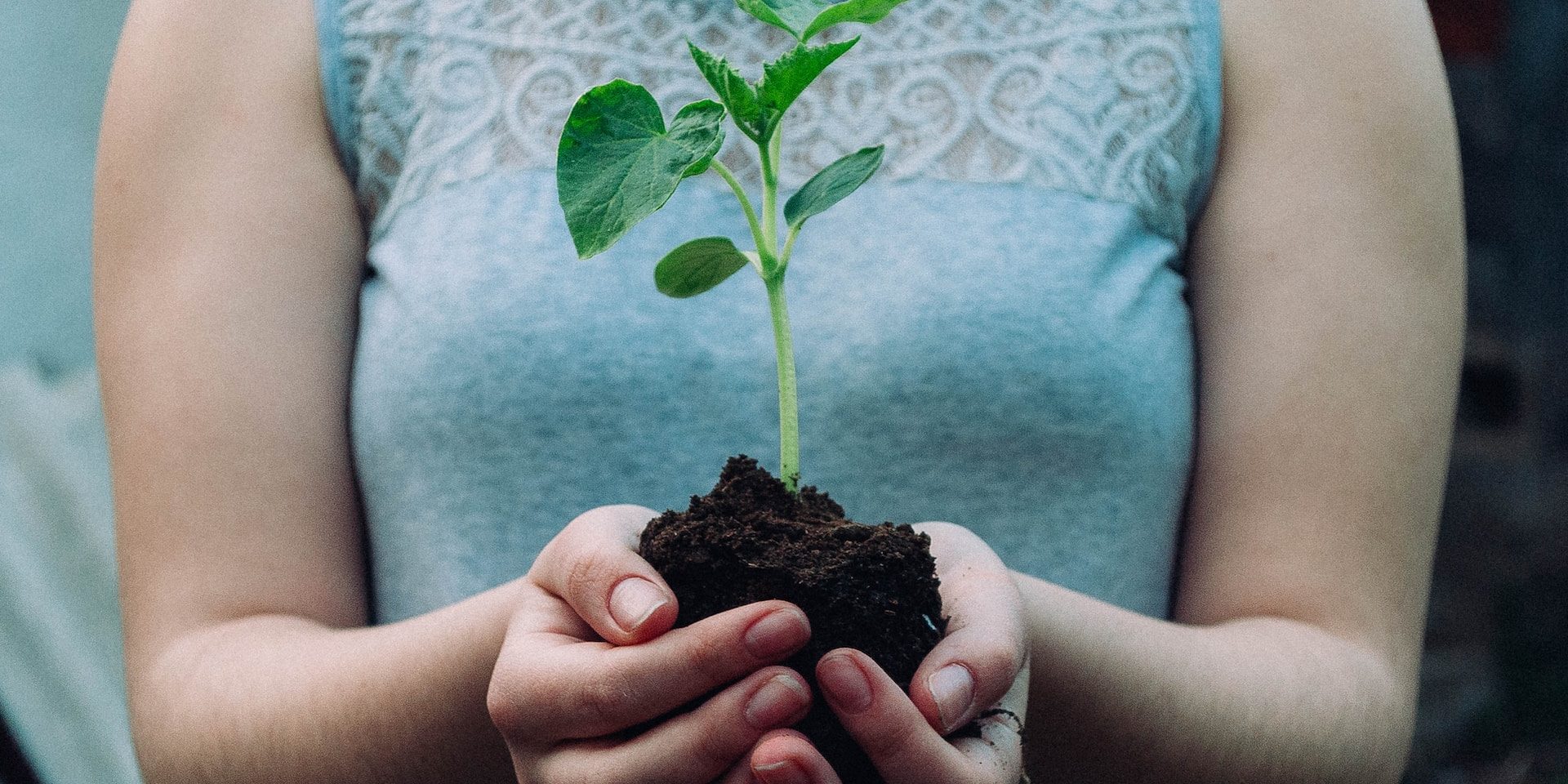 The power of sustainable digitalization in the fight against climate change