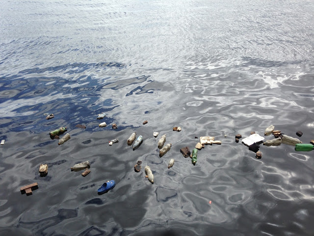 Data Science para evitar la contaminación de los océanos