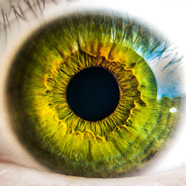 DeepMindAI partners with Moorfields Eye Hospital to develop innovative sight-saving technology