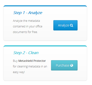 Opciones pagina web Metashield Analyzer
