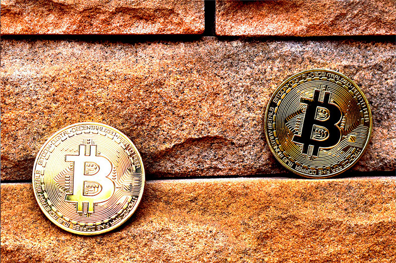 What are Blockchain and Smart Contracts?