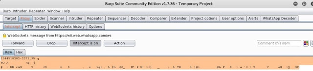 burp suite community edition imagen
