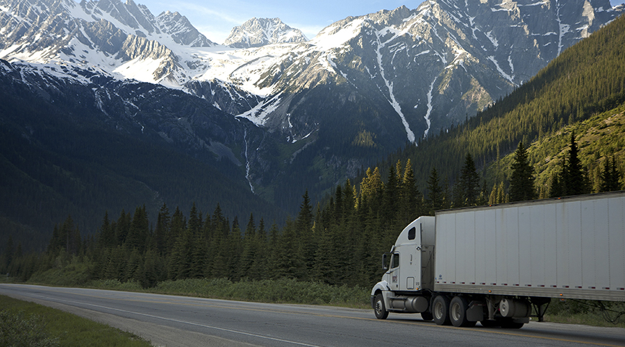 Distribution and Logistics Companies
