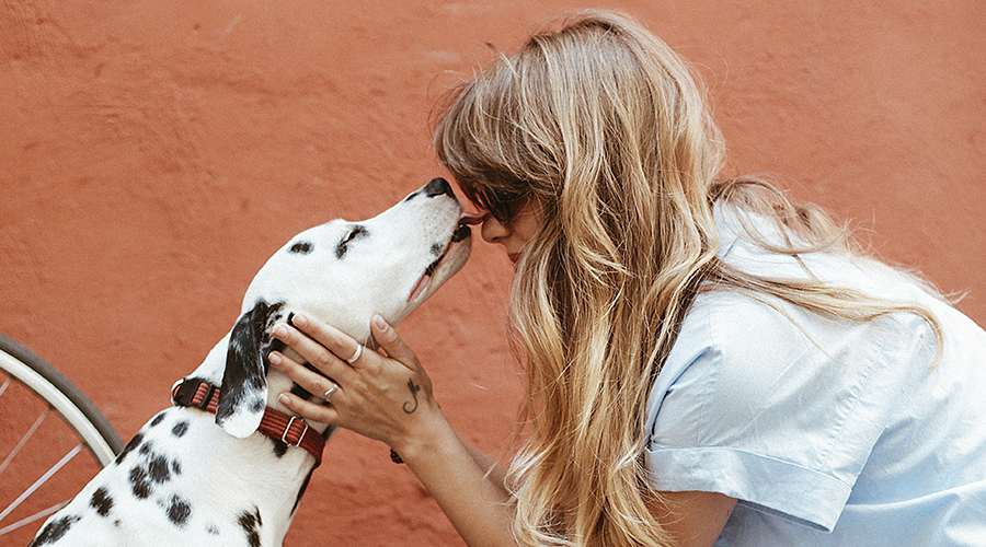 Who says your pet can not become an influencer?