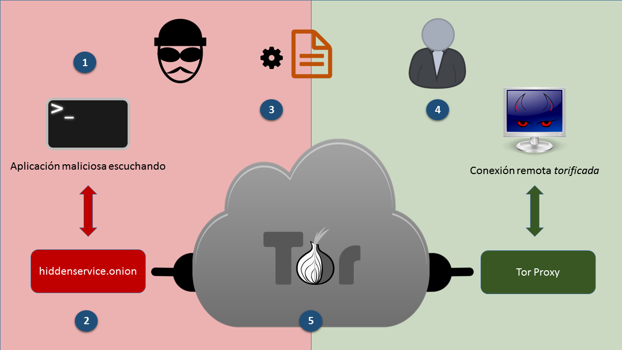 Aplicación práctica sobre NetcaTor, una shell inversa a través de Tor