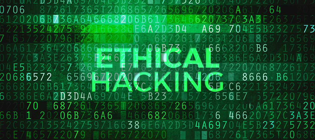 Ethical Hacking Continuo: las buenas prácticas del rey de la selva