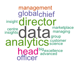 Terms used in the title of senior data professionals