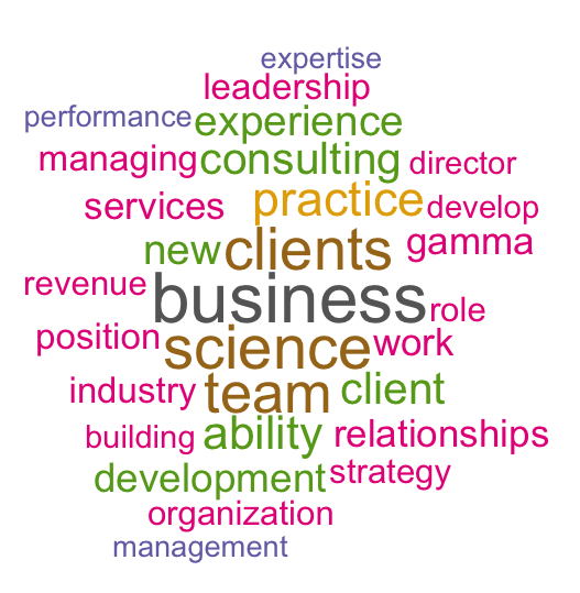 Job descriptions CDO
