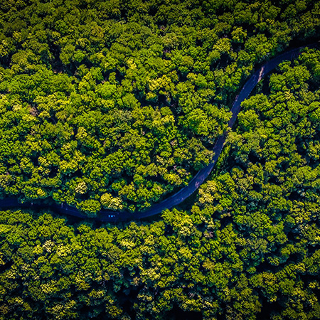 Environmental