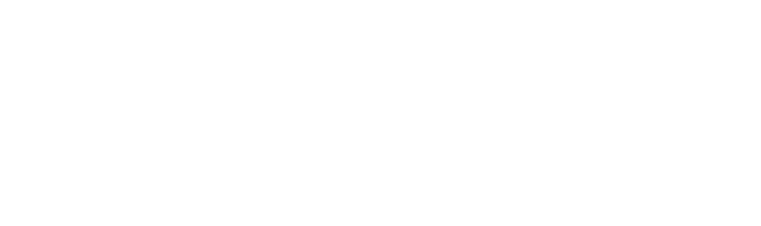 AI & Data Consulting