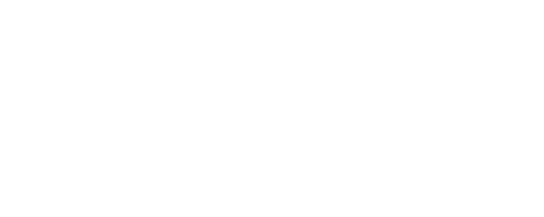 bmi logo