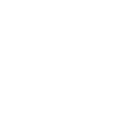 logo Levan Center