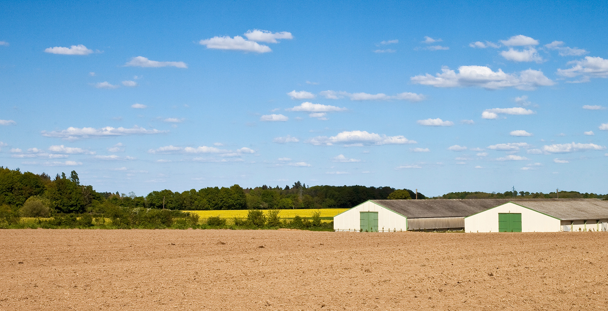 farm