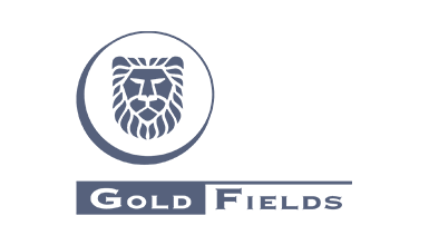 Gold Fields