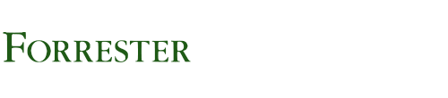 Strong performer in The Forrester Wave™: European Managed Security Services Providers, Q3 2022