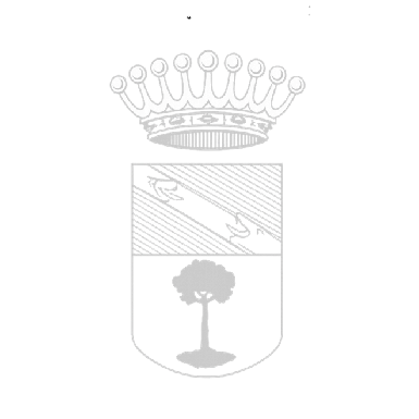 Acompañamos al Ayuntamiento de Lalín reforzando su ciberseguridad