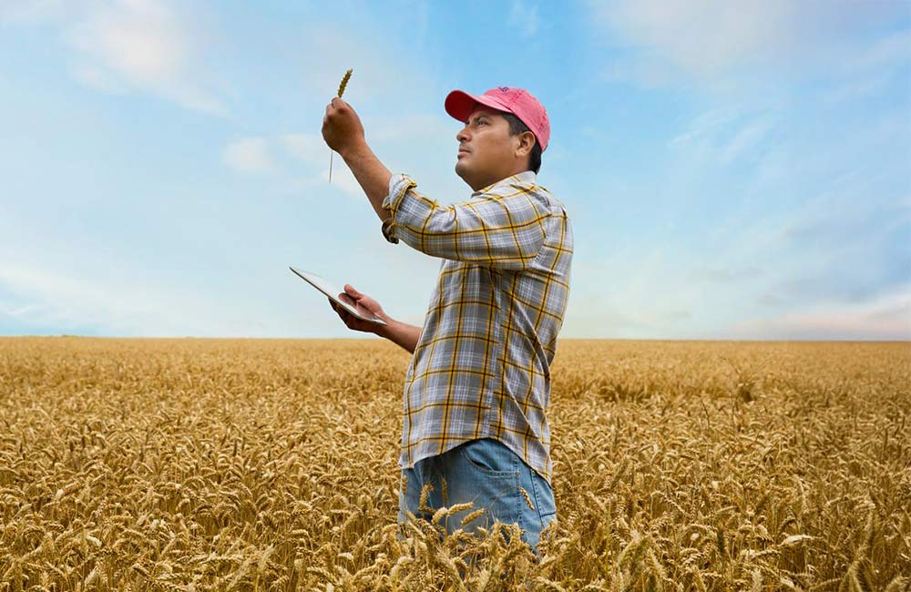 Diseñamos y desarrollamos Datagia, la Plataforma Agroalimentaria en Red para Castilla y León