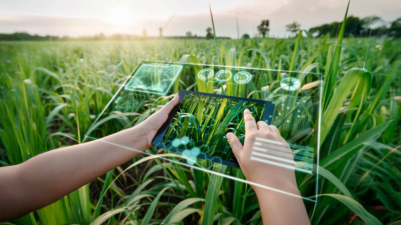 Riego Inteligente en agricultura: eficiencia y sostenibilidad con IoT