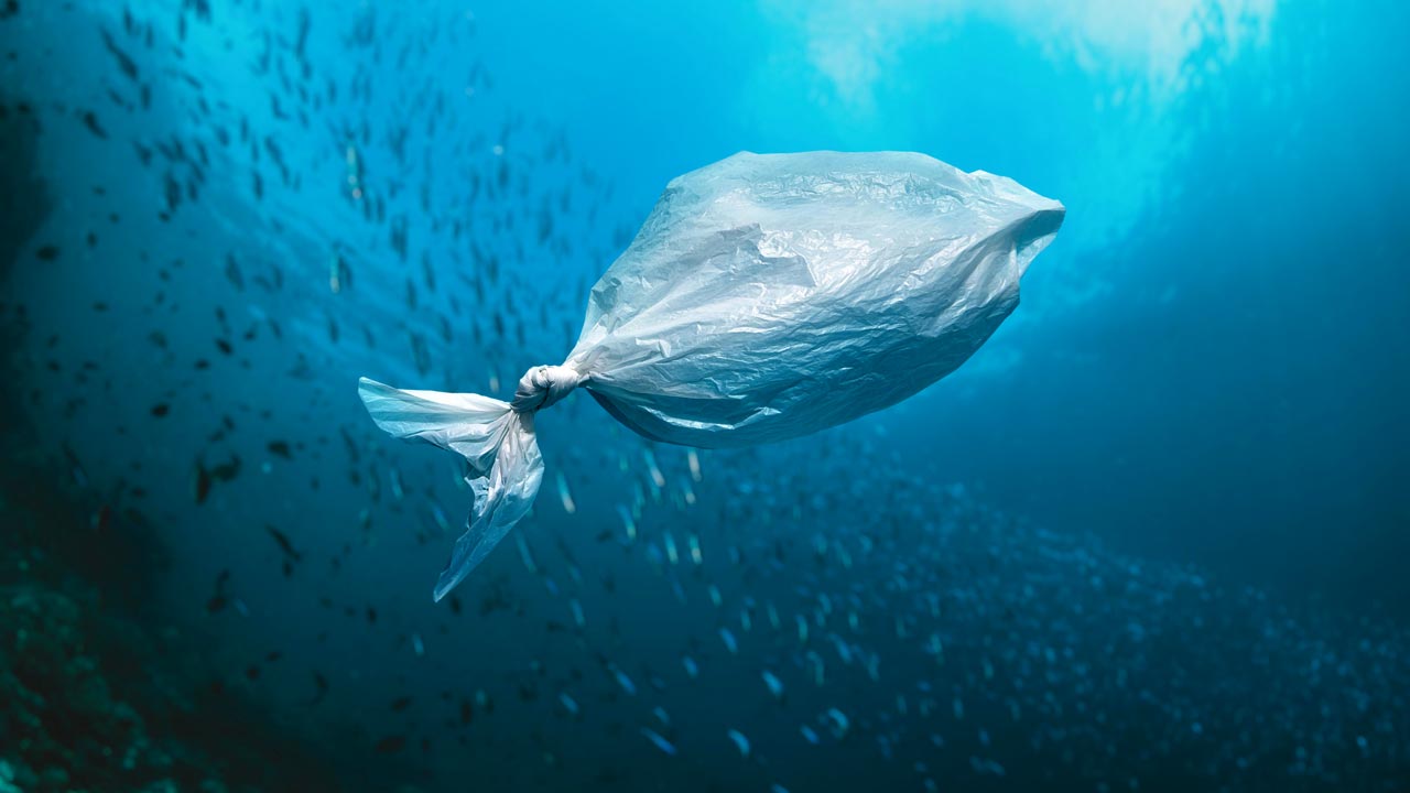 Restoring the oceans blue: innovation against the plastic tide
