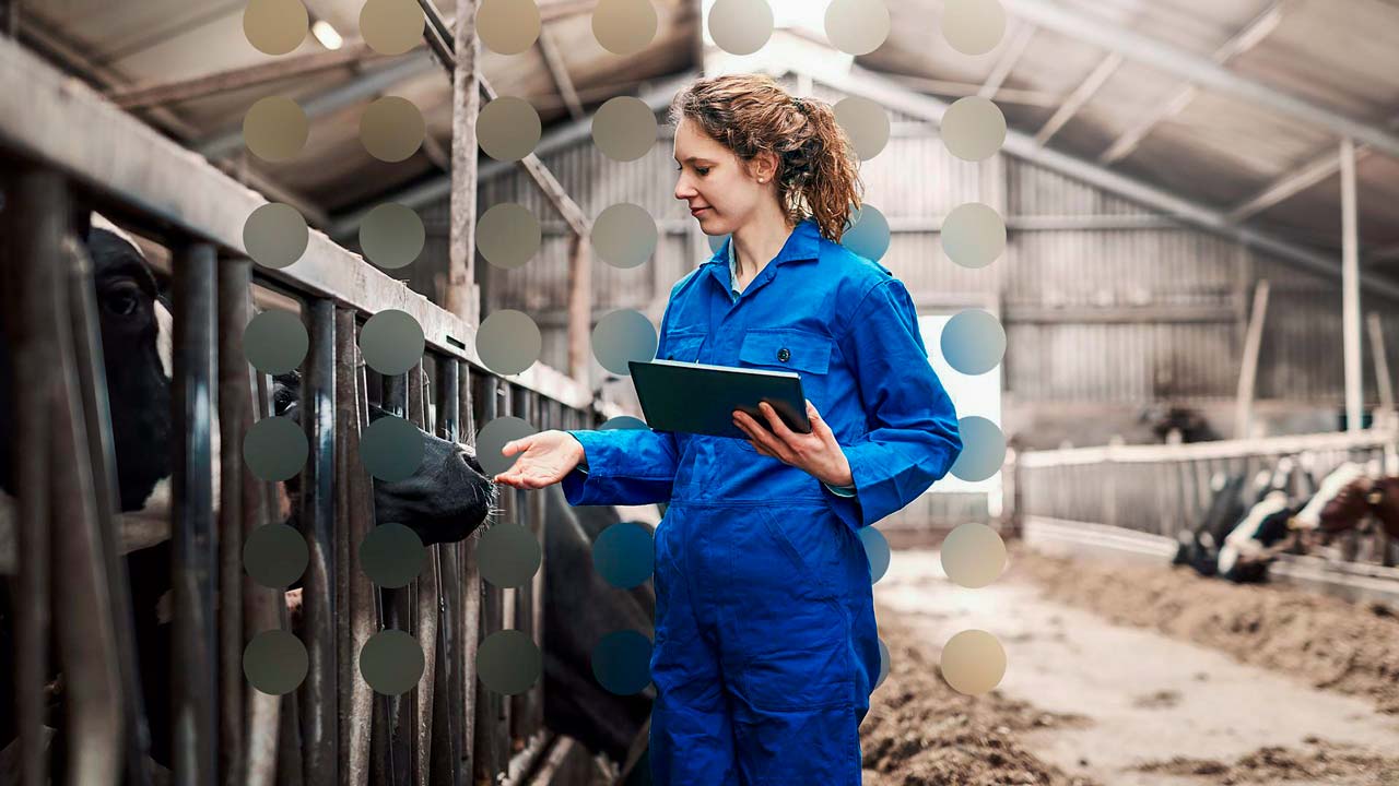 Ganadería .: el futuro conectado del sector ganadero