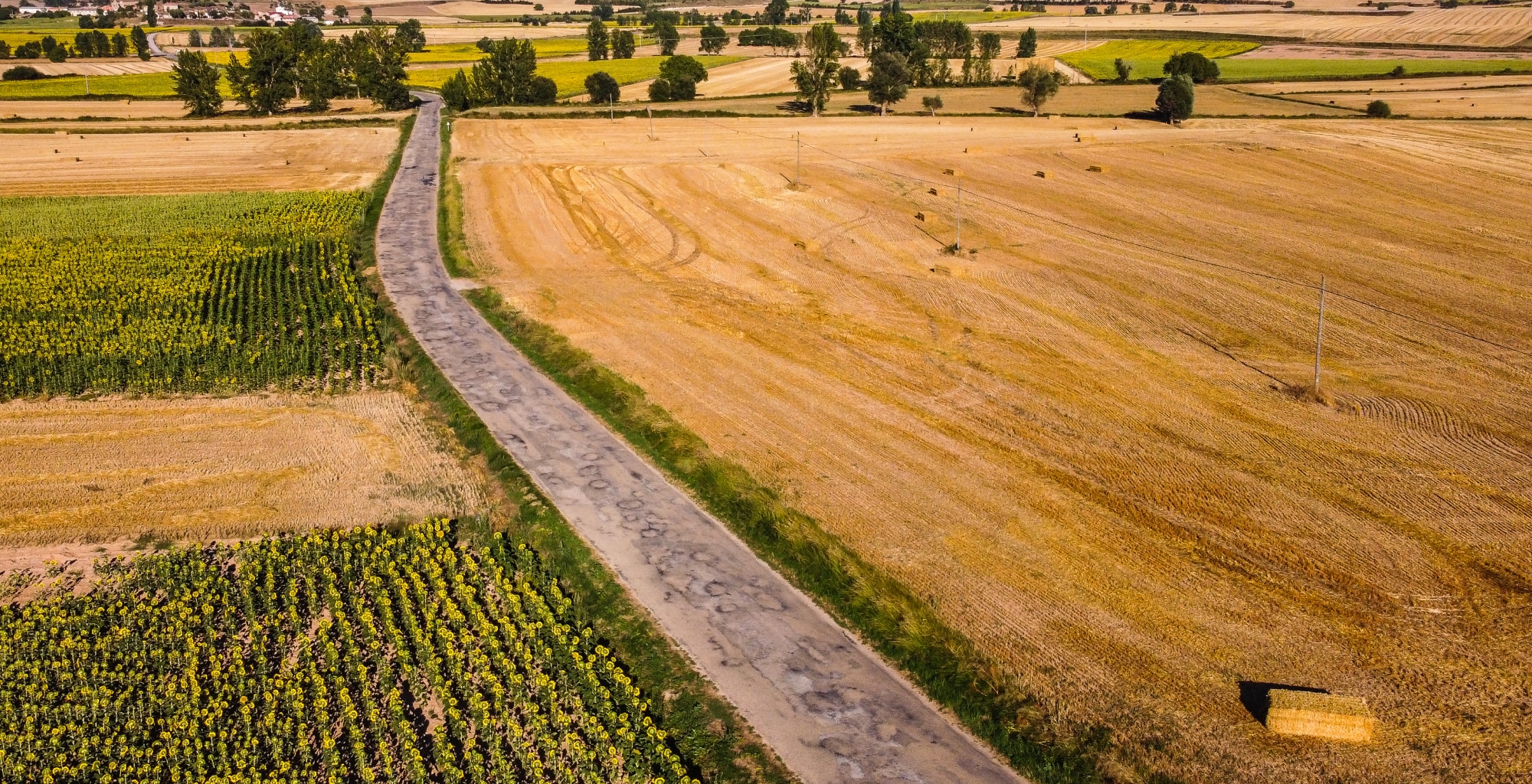 Acompañamos la digitalización de la cadena agroalimentaria junto a ITACyL