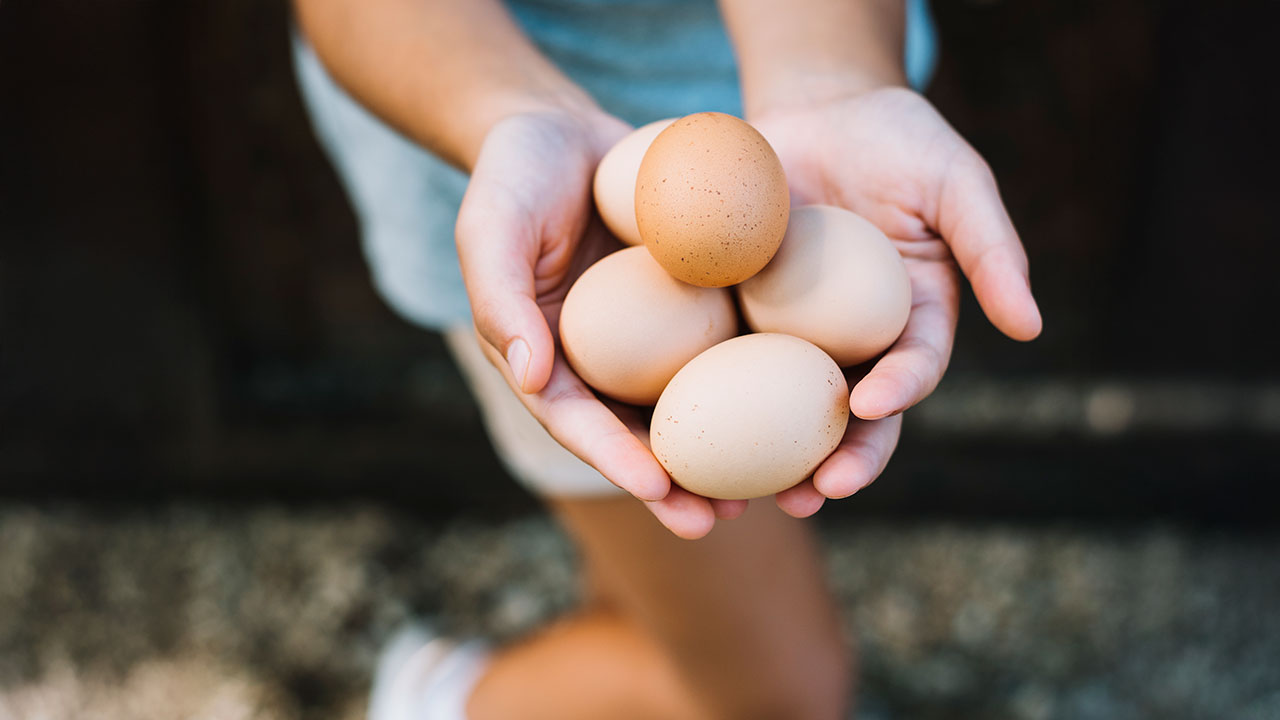 Artificial intelligence and Cybersecurity: which comes first?