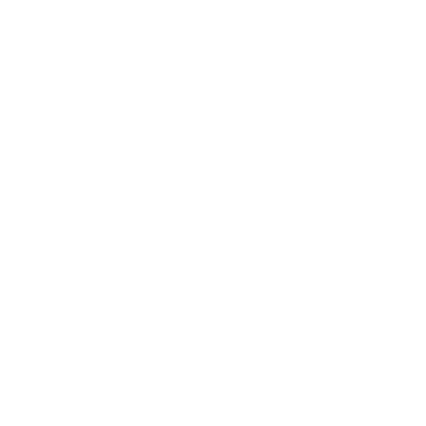 logo-burriana