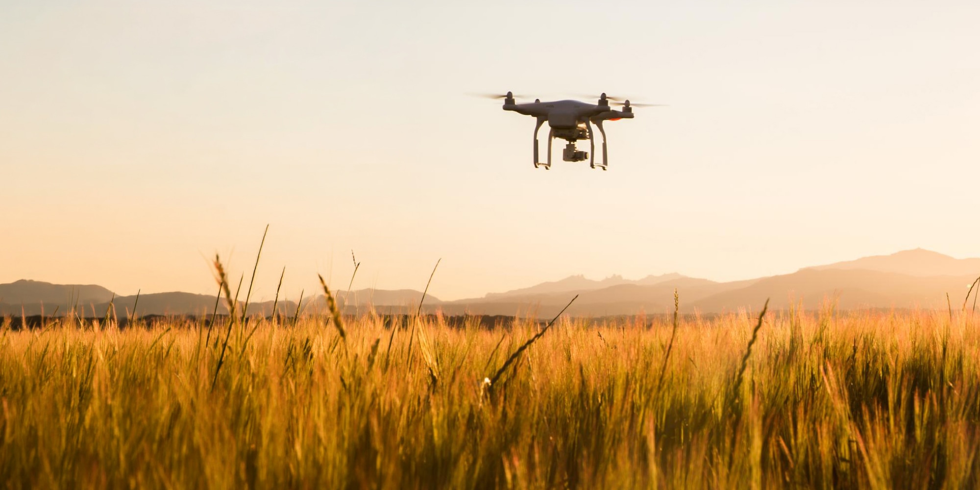 Viñedo inteligente con Drones